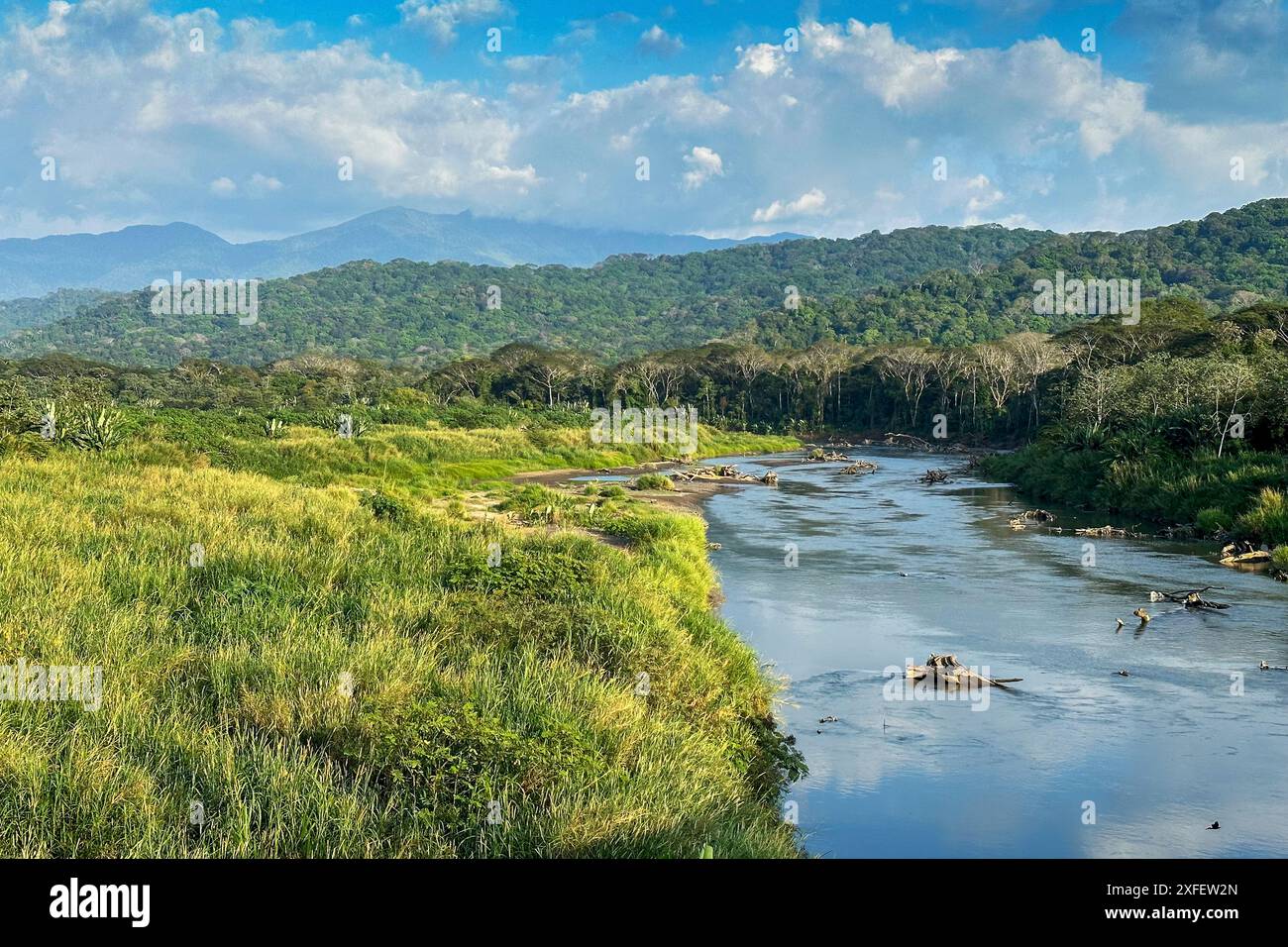 Cours naturel de la rivière Tarcoles, Costa Rica, Tarcoles Banque D'Images