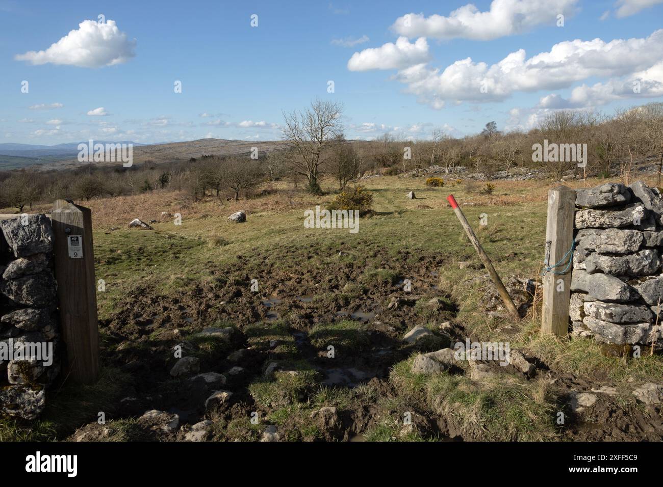 Hutton Roof Crags au-dessus de Burton à Kendal Westmorland et Furness anciennement Cumbria England Banque D'Images