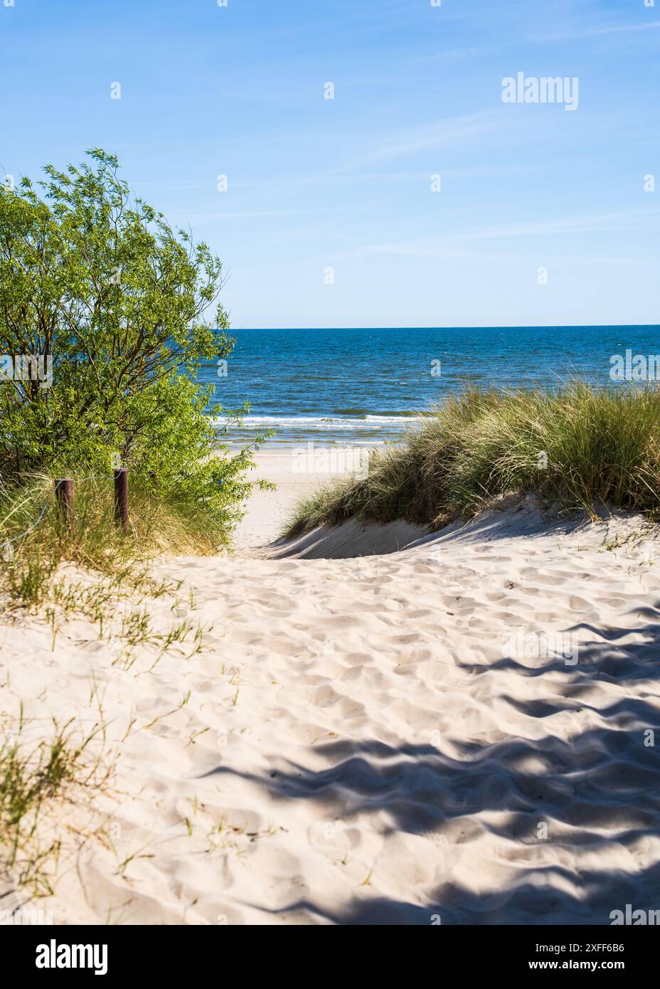 Vue calme sur les dunes à la mer. Mer Baltique. Banque D'Images