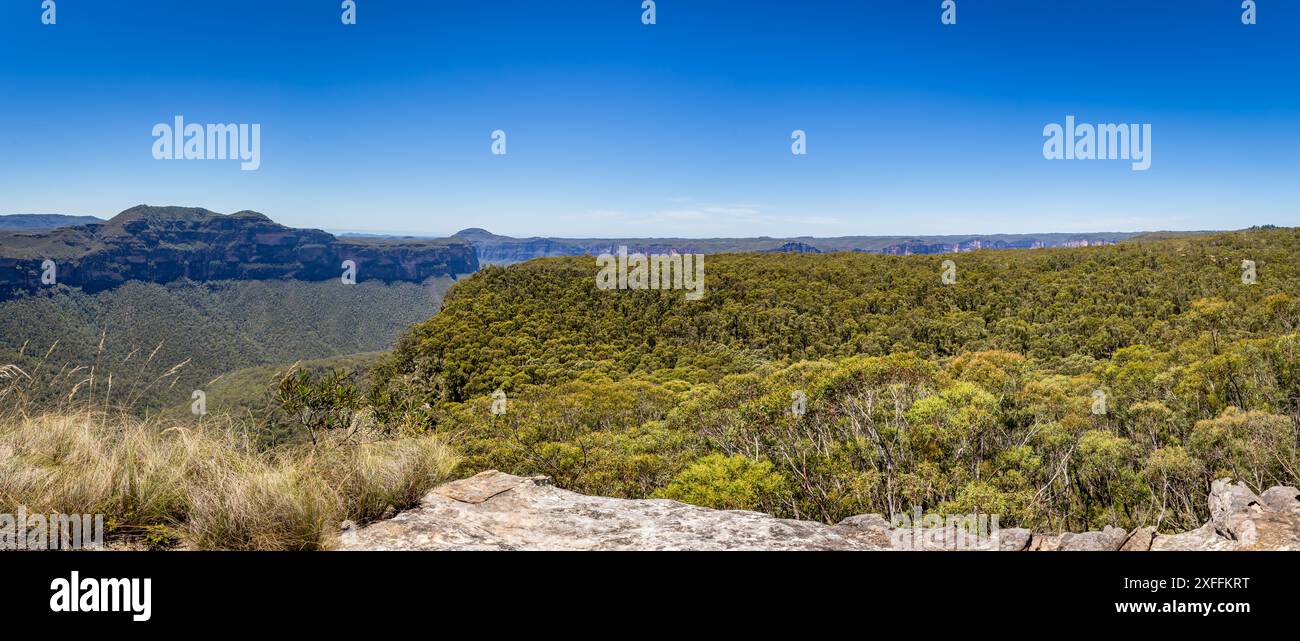 Une vue pittoresque de Pulpit Rock Lookout dans le parc national des Blue Mountains en Nouvelle-Galles du Sud, Australie, mettant en valeur la beauté sauvage du regio Banque D'Images