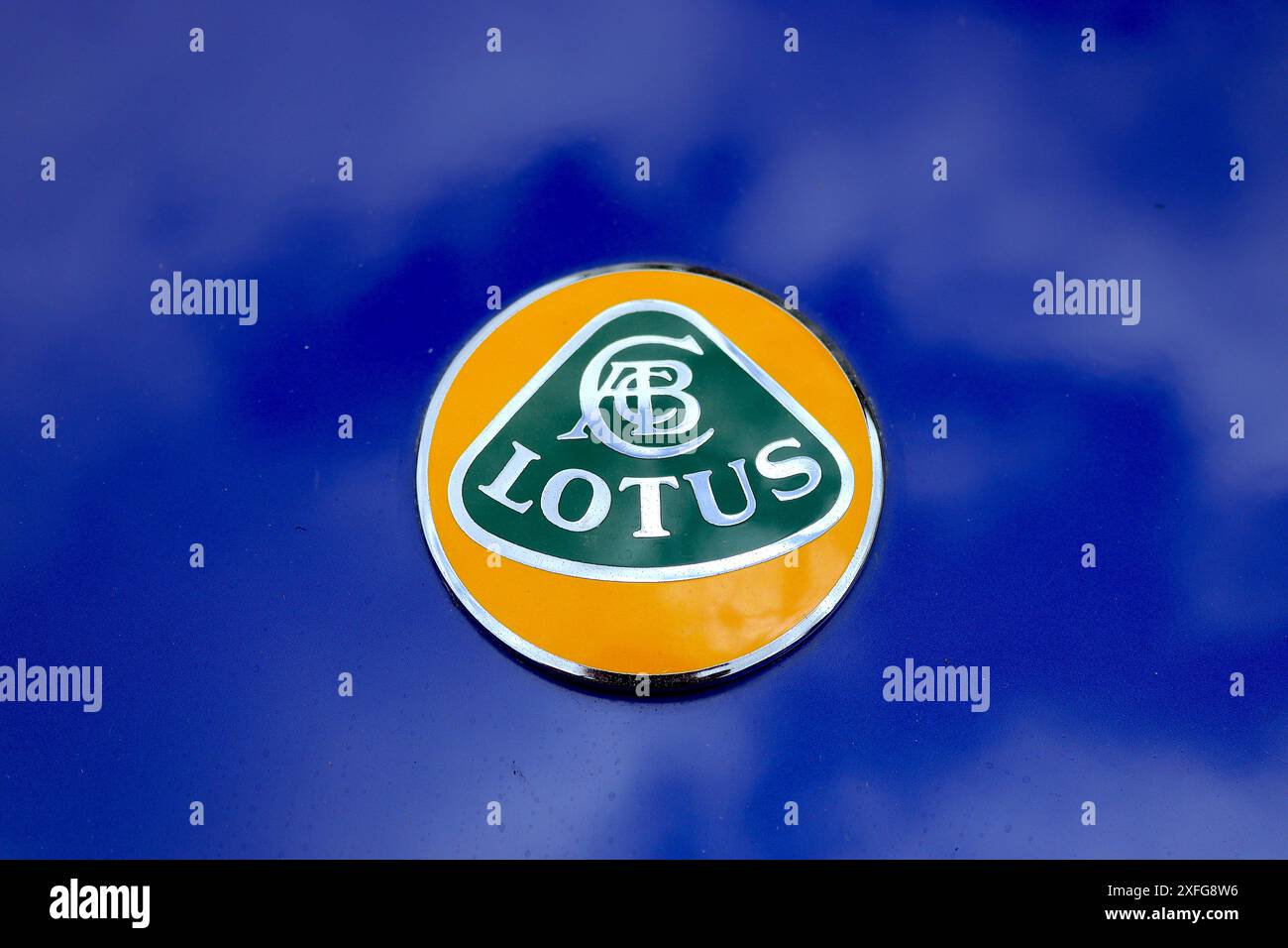 Gros plan sur le célèbre écusson Lotus Cars inimitable monté sur une Lotus esprit Turbo se finie en bleu Pacifique métallisé, juin 2024. Banque D'Images