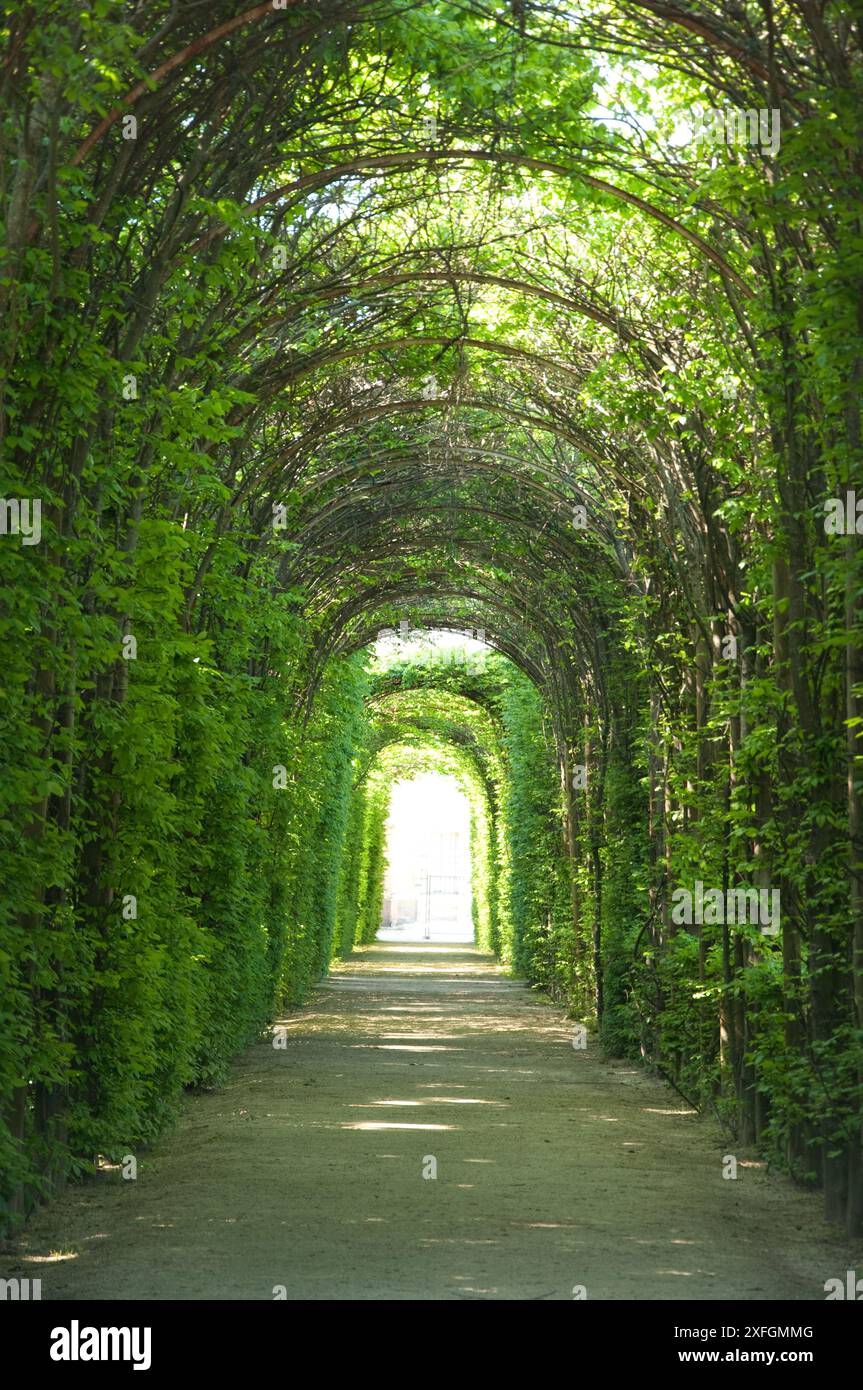 Jardin, Palais d'été de la duchesse de Parme, Colorno, Emiglia Romagne, Italie Banque D'Images