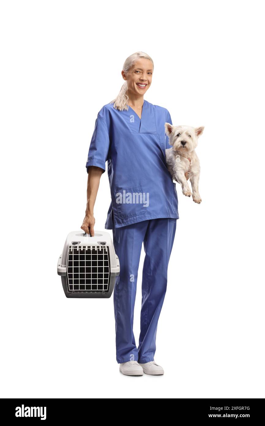 Vétérinaire avec un chien westie terrier et un porteur d'animal isolé sur fond blanc Banque D'Images