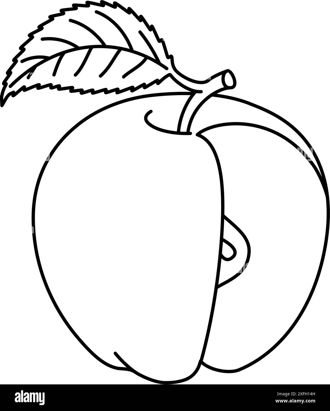 Couper pomme avec une page de coloriage de dessin de ligne de feuille. Coupe transversale de pomme coupée, tranches de fruit noir et blanc illustration vectorielle. Style griffonnage dessiné à la main. Illustration de Vecteur