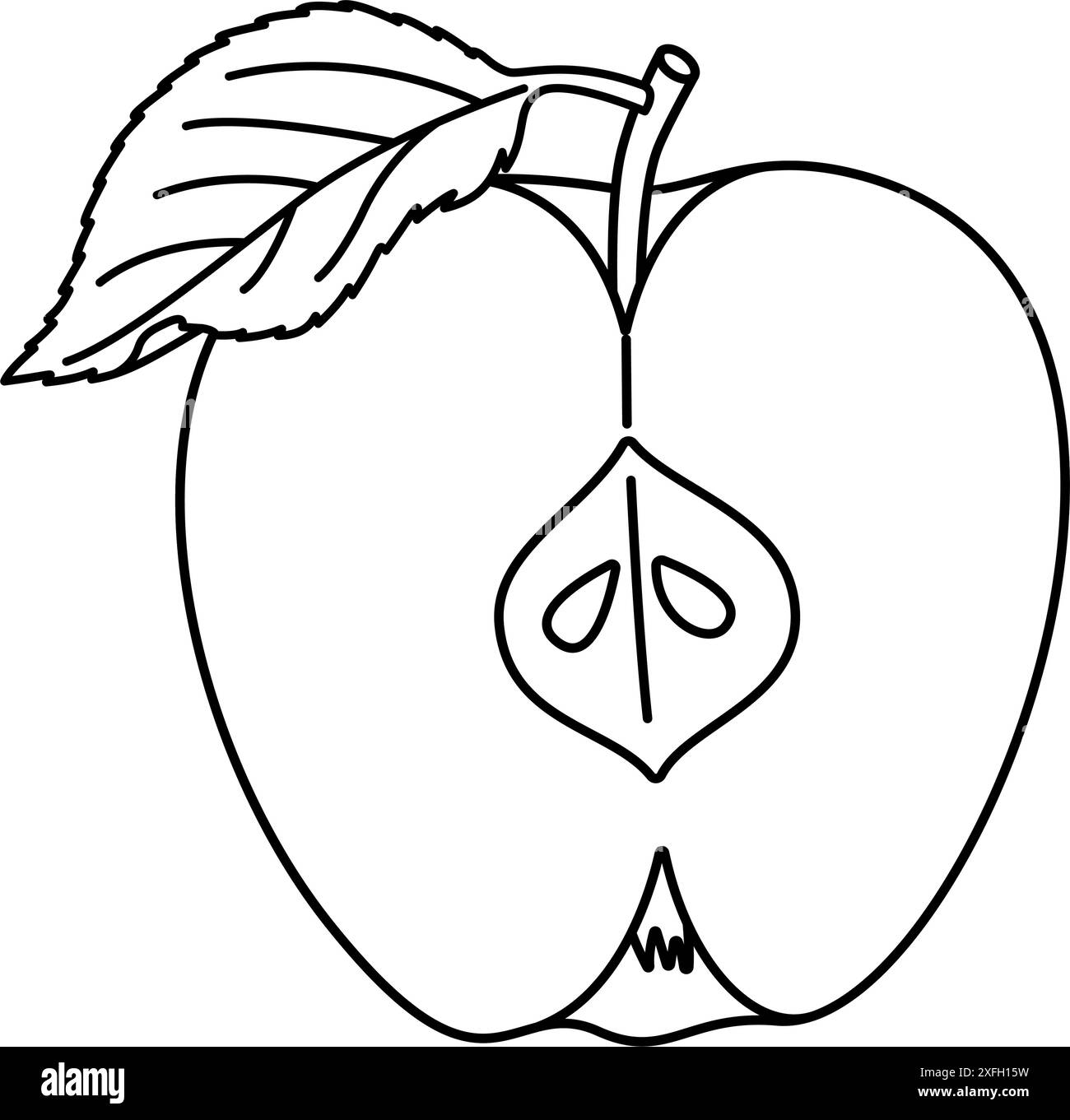 Une demi-pomme avec une feuille. Couper la page de coloriage de dessin au trait Apple. Coupe transversale de pomme coupée, tranches de fruit noir et blanc illustration vectorielle. Style griffonnage dessiné à la main. Illustration de Vecteur