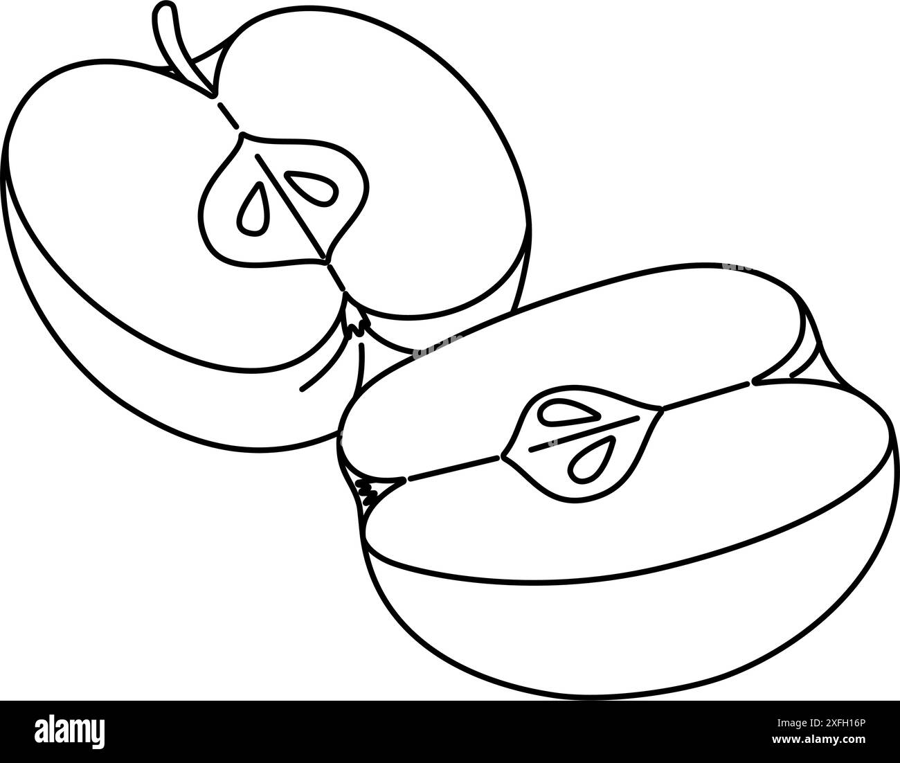 Pomme coupée en tranches dessin de dessin de ligne page de coloriage. Coupe transversale de pomme coupée, tranches de fruit noir et blanc illustration vectorielle. Style griffonnage dessiné à la main. Illustration de Vecteur