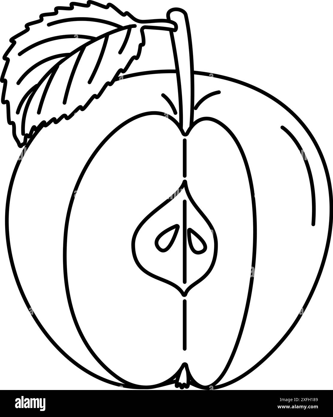 Couper la page de coloriage de dessin au trait Apple. Coupe transversale de pomme coupée, tranches de fruit noir et blanc illustration vectorielle. Style griffonnage dessiné à la main. Illustration de Vecteur