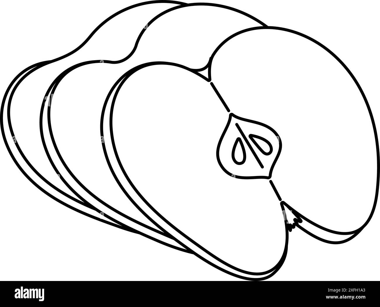Couper la page de coloriage de dessin au trait Apple. Coupe transversale de pomme coupée, tranches de fruit noir et blanc illustration vectorielle. Style griffonnage dessiné à la main. Illustration de Vecteur