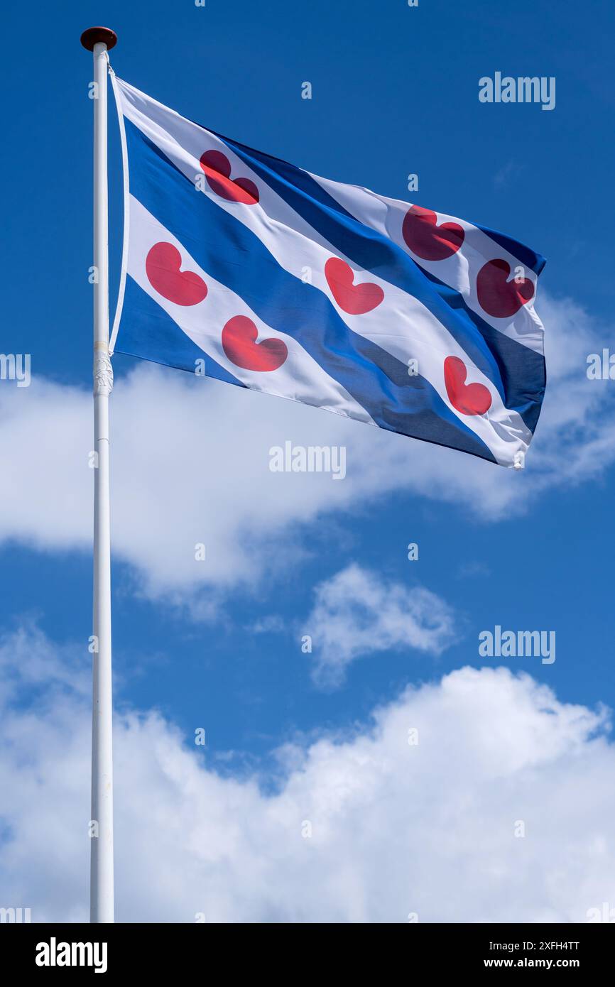 Drapeau de la province hollandaise Frise volant dans le vent Banque D'Images