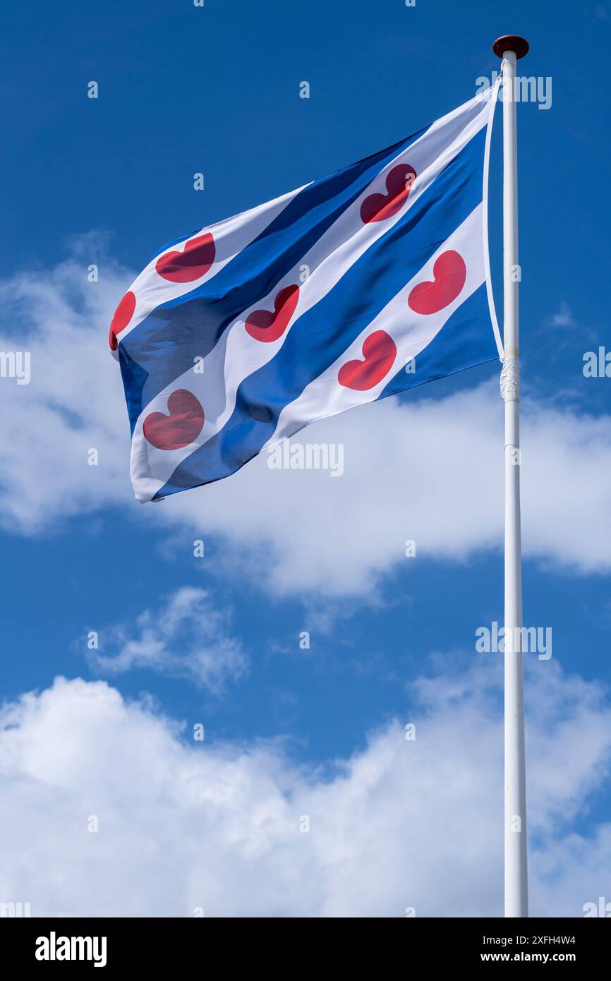 Drapeau de la province hollandaise Frise volant dans le vent Banque D'Images