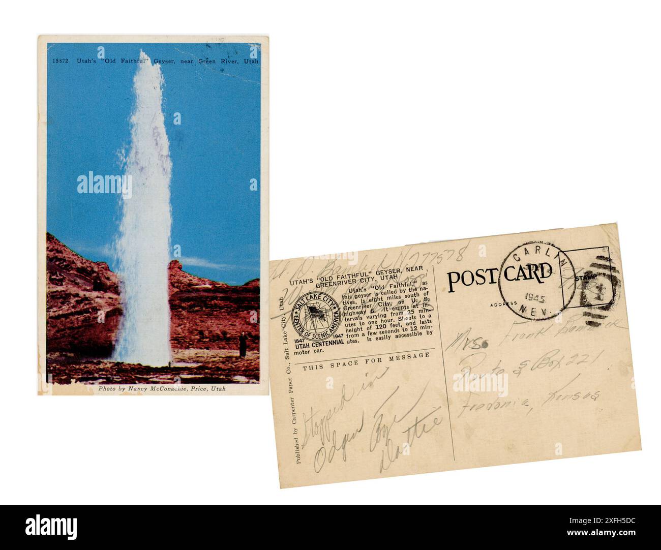 1945 carte postale vintage, Old Faithful Gyser, Utah, États-Unis Banque D'Images