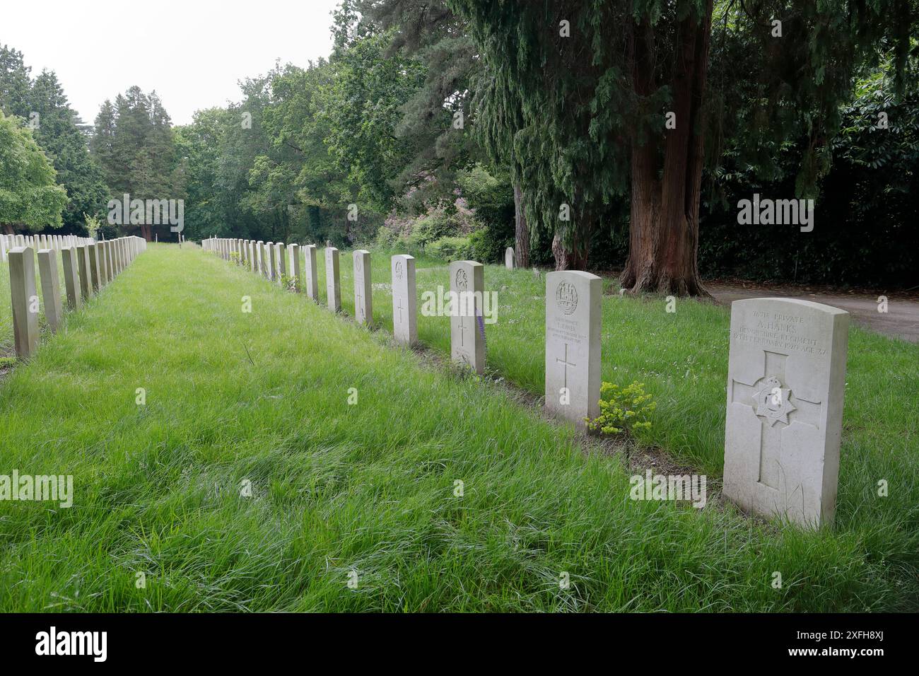 Rangées de pierres tombales marquant les tombes du cimetière militaire du Royal Victoria Country Park, associé à l'ancien hôpital militaire. Banque D'Images