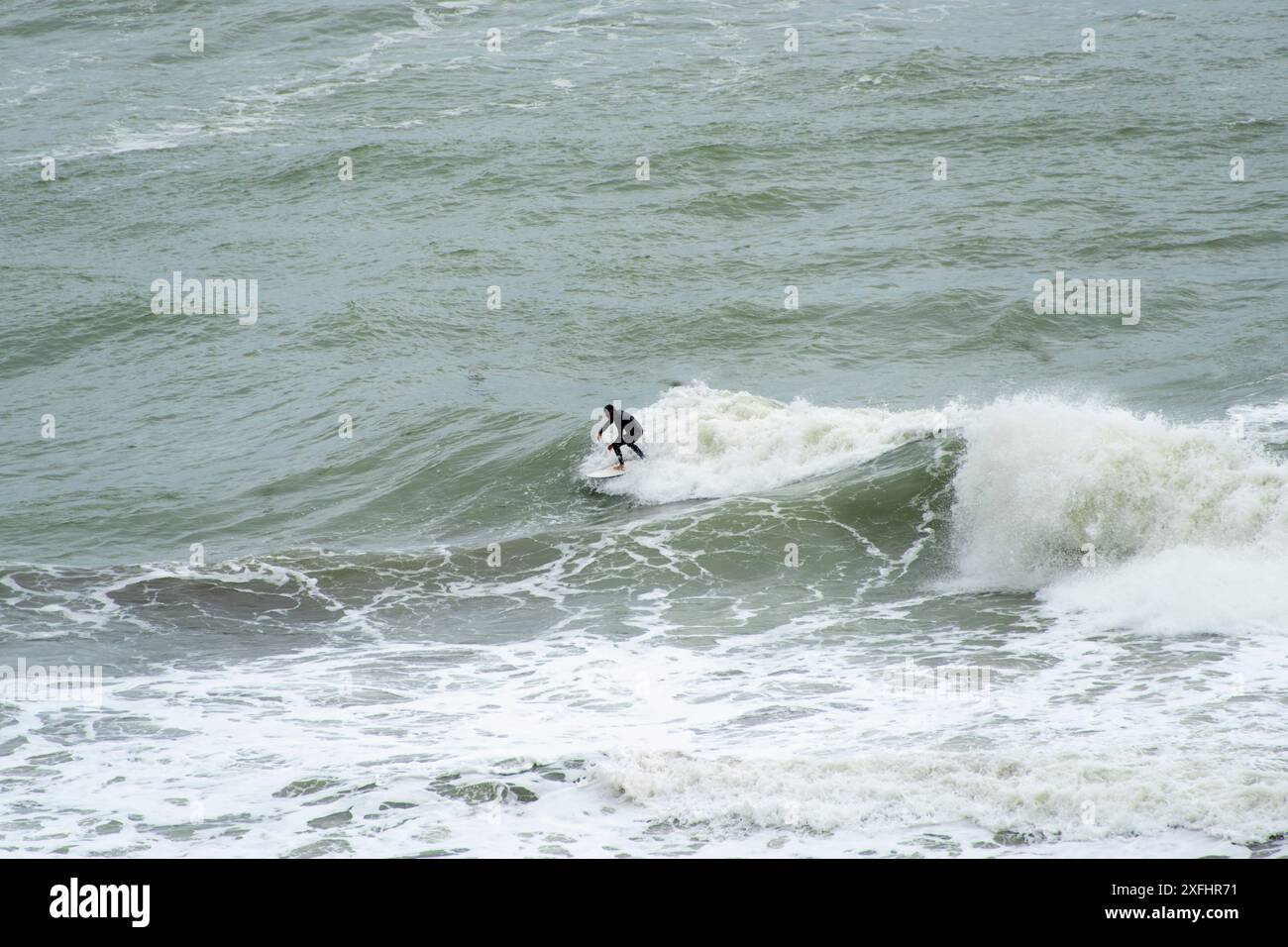 Surfeur à Muriwai Gannet Colony Beach - Nouvelle-Zélande Banque D'Images