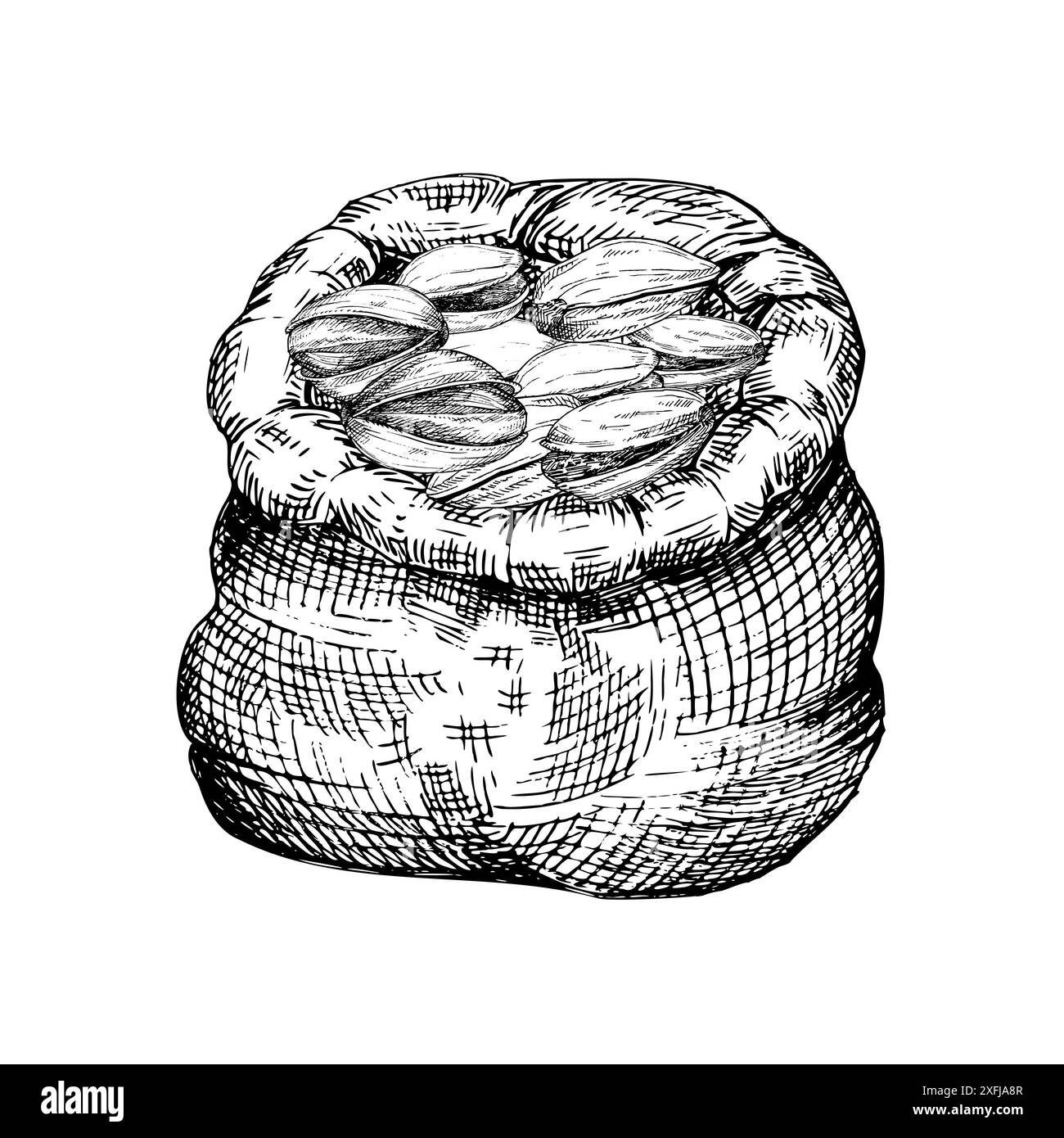 Noix de pistache dans le sac de toile illustration vectorielle graphique ensemble. Dessin botanique stylisé. Isolé. Dessiné à la main, adapté à l'emballage alimentaire Illustration de Vecteur