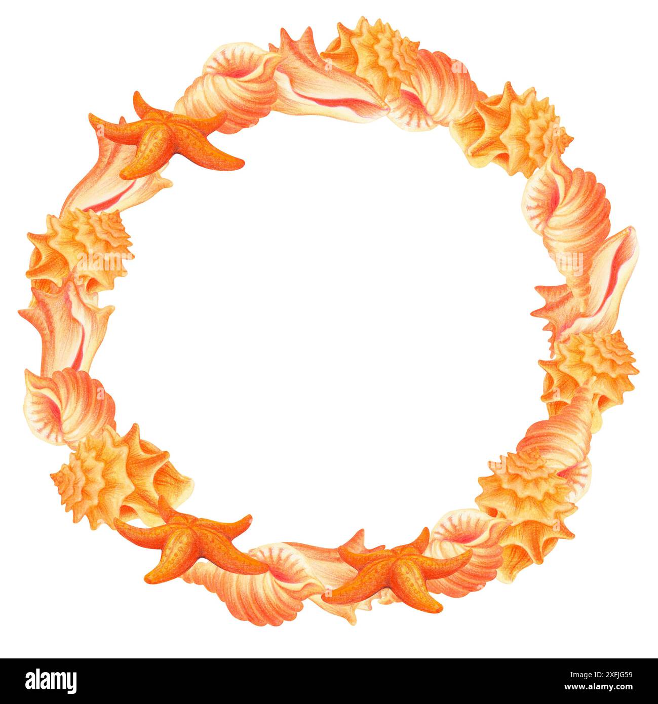 Couronne ronde, cadre, bordure avec coquillages. Vie sous-marine. Composition tropicale aquarelle isolée pour la conception d'accessoires de plage, impressions, bannières de Banque D'Images