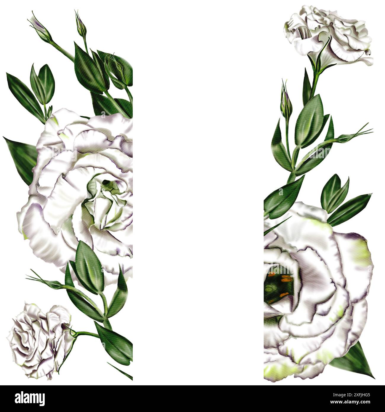 Double cadre de fleurs, bourgeons et feuilles de Bluebell, lisianthus et eustoma. Grandes fleurs blanches. Feuilles et bourgeons verts, tiges minces. Banque D'Images