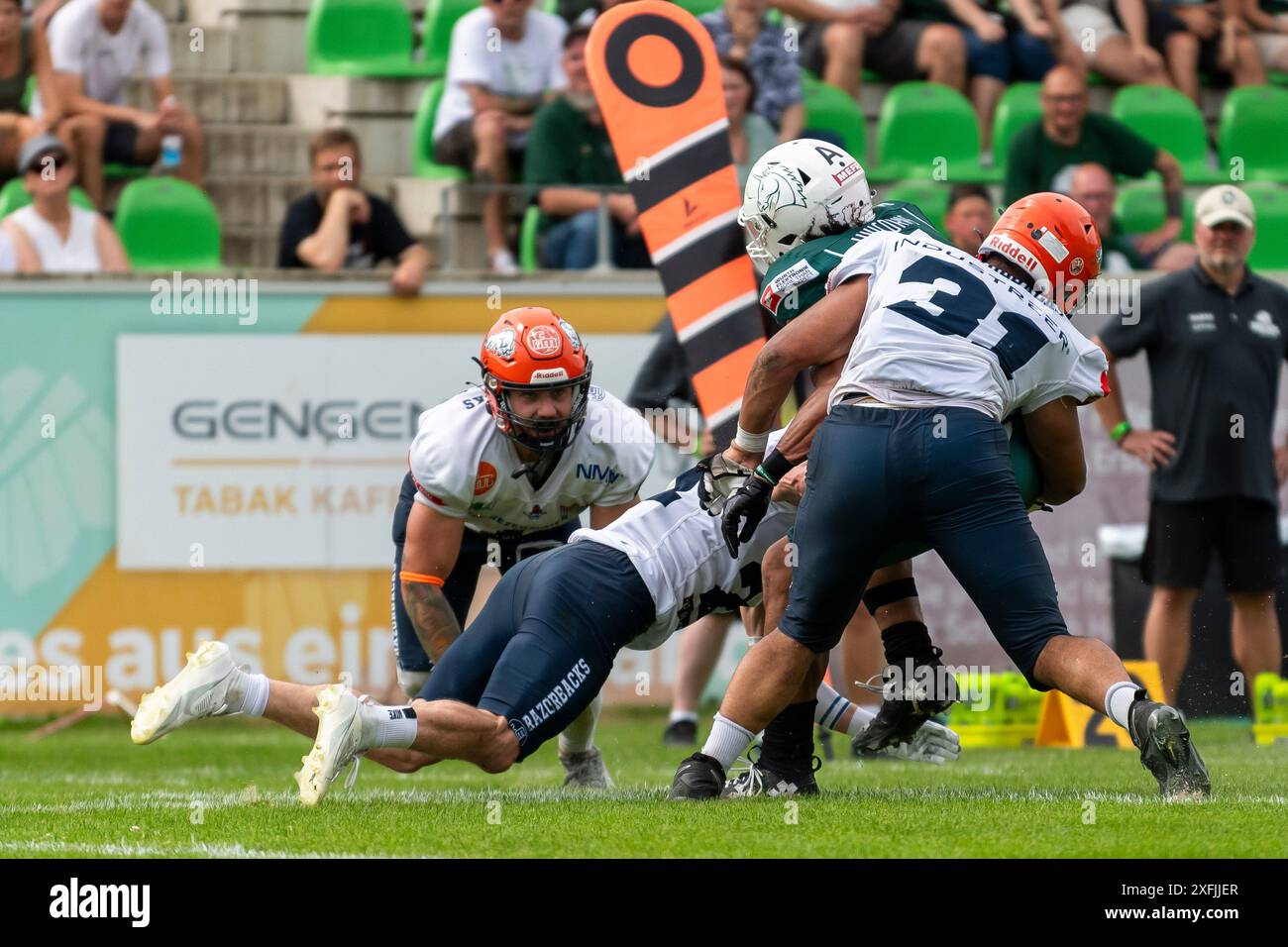 Niklas Herrmann (21, DB, IFM Razorbacks Ravensburg) und Henri Moudilou (31, DL, IFM Razorbacks Ravensburg) stoppen JJ Brania-Hopp (7, WR, Schwaebisch Hall Unicorns) GER, Schwaebisch Hall Unicorns vs IFM Ravensburg Razorbacks, American Football, GFL, saison 2024, week 8, 29.06.2024, Foto : Eibner-Pressefoto/Florian Wolf Banque D'Images