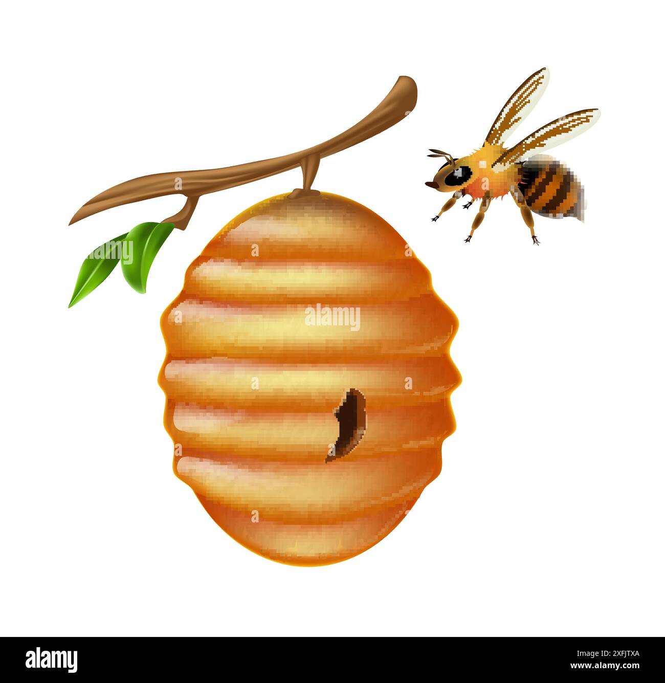 Yellow Bee Hive accroché sur une branche, sur fond blanc, illustration vectorielle réaliste gros plan Illustration de Vecteur