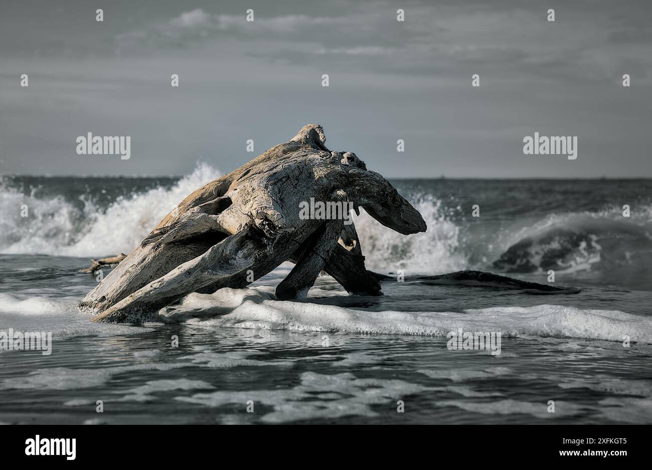 Aperçu de la mer à Lido di Dante, Ravenne Banque D'Images