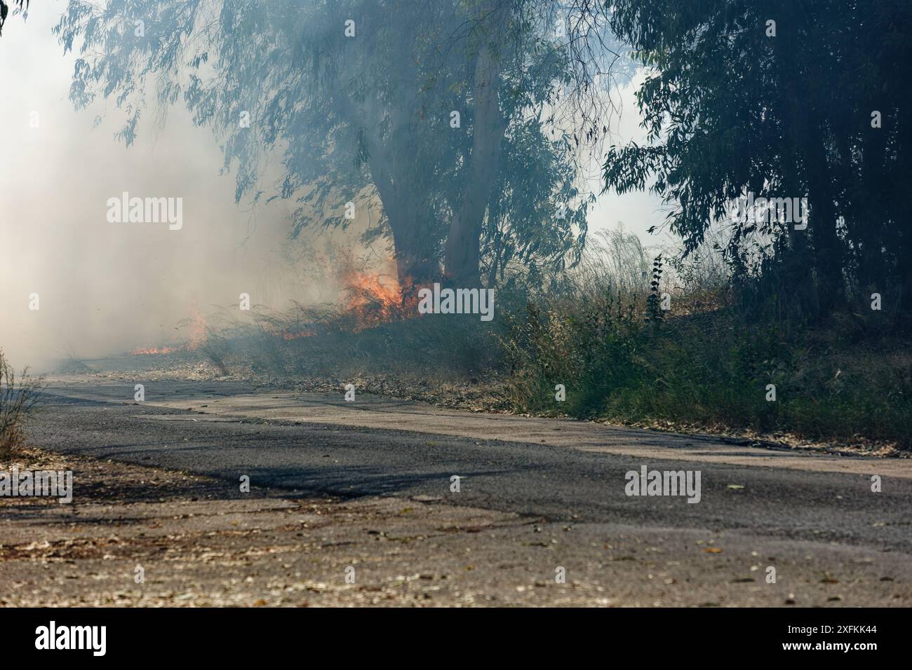 Les gens s'échappent d'un incendie avec beaucoup de fumée. arbre dévoré par les flammes près de la maison. Incendies fantômes en Italie Banque D'Images