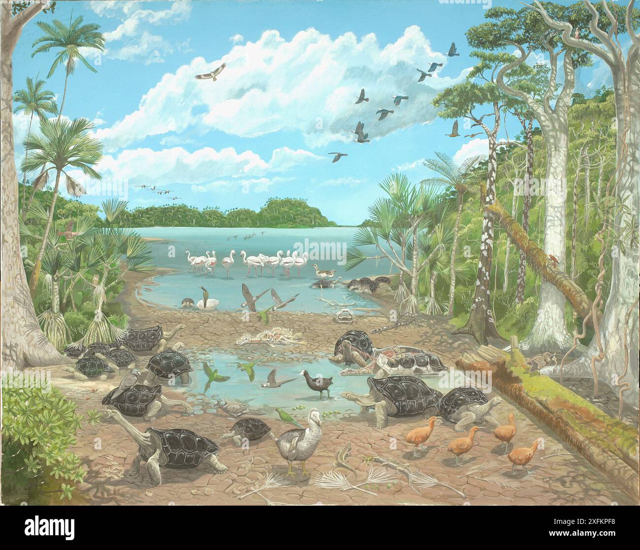 Illustration de la Mare aux Songes, il y a 4 000 ans. Tous les animaux de cette image, à l'exception de la perruche Echo (Psittacula ECHO), du pigeon rose (Nesoenas mayeri) de l'île Maurice (Falco punctatus) et de la chauve-souris (Pteropus Niger) sont éteints. Banque D'Images