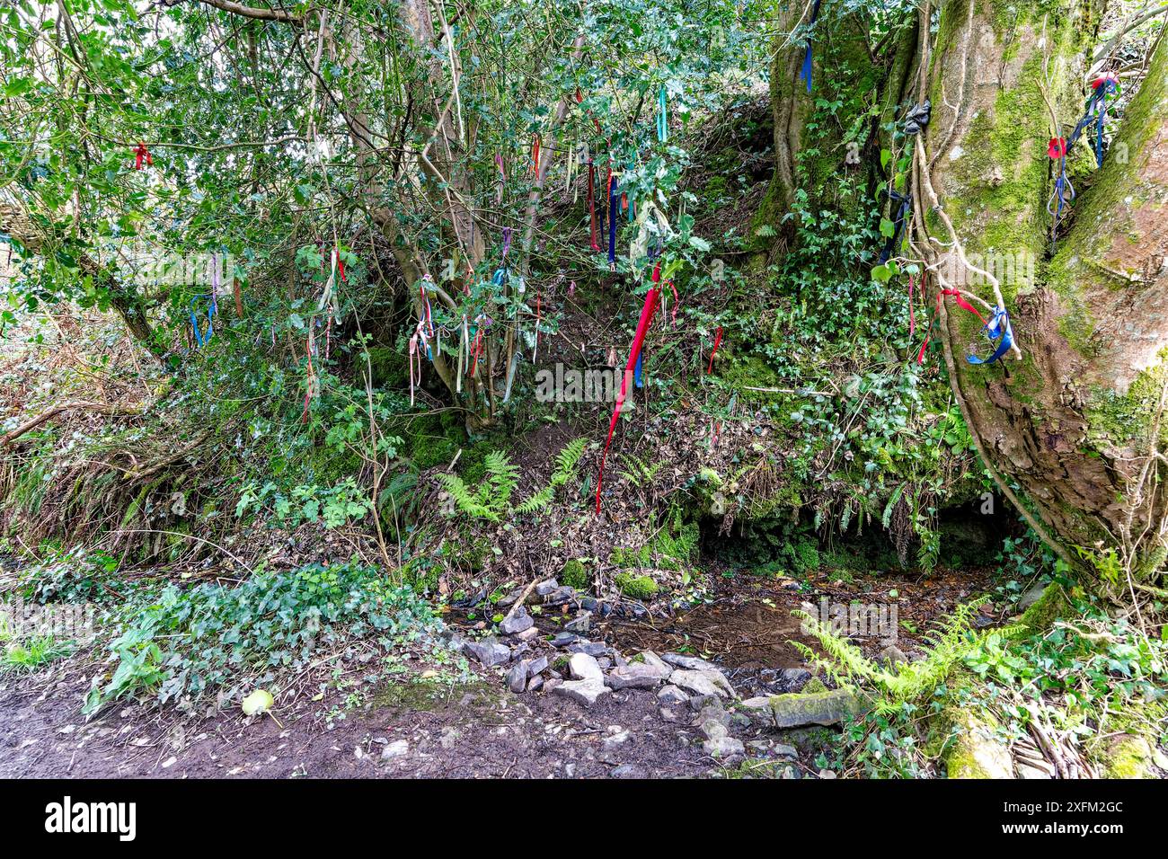 Image colorée montrant Covety Spring, Un sacré puits de guérison sur Great Torrington Commons avec des rubans de prière. Banque D'Images