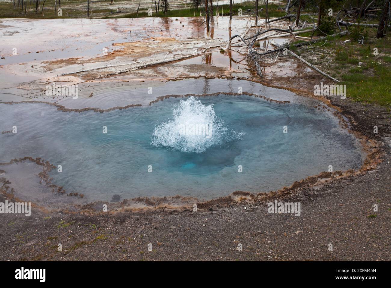 Firehole Spring, Lower Geyser Basin, parc national de Yellowstone, Wyoming, États-Unis. Juin 2015. Banque D'Images Firehole Spring, Lower Geyser Basin, parc national de Yellowstone, Wyoming, États-Unis. Juin 2015. Banque D'Images
