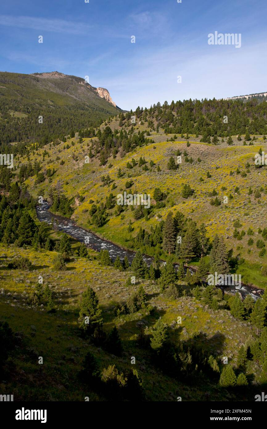 Rivière Gardiner et la vallée, le Parc National de Yellowstone, Wyoming, USA. Juin 2015 Banque D'Images Rivière Gardiner et la vallée, le Parc National de Yellowstone, Wyoming, USA. Juin 2015 Banque D'Images