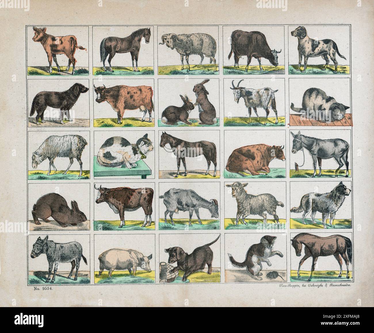 Lithographie en couleur d'animaux de compagnie. Jouets en papier pour enfants. Allemagne, 1896 Banque D'Images