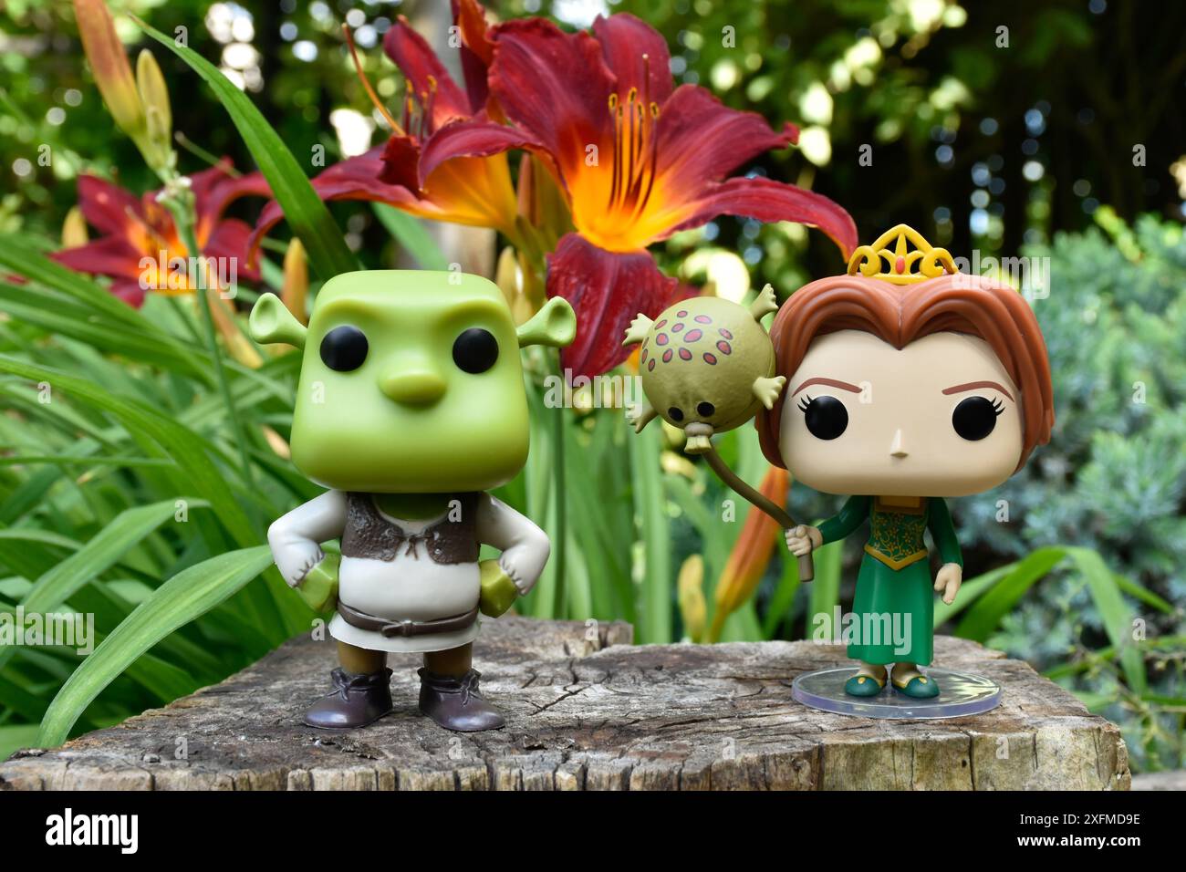 Funko Pop figurines de l'ogre Shrek et de la princesse Fiona du film d'animation populaire. Forêt de fées, souche d'arbre, fleurs d'orange, personnages fabuleux. Banque D'Images