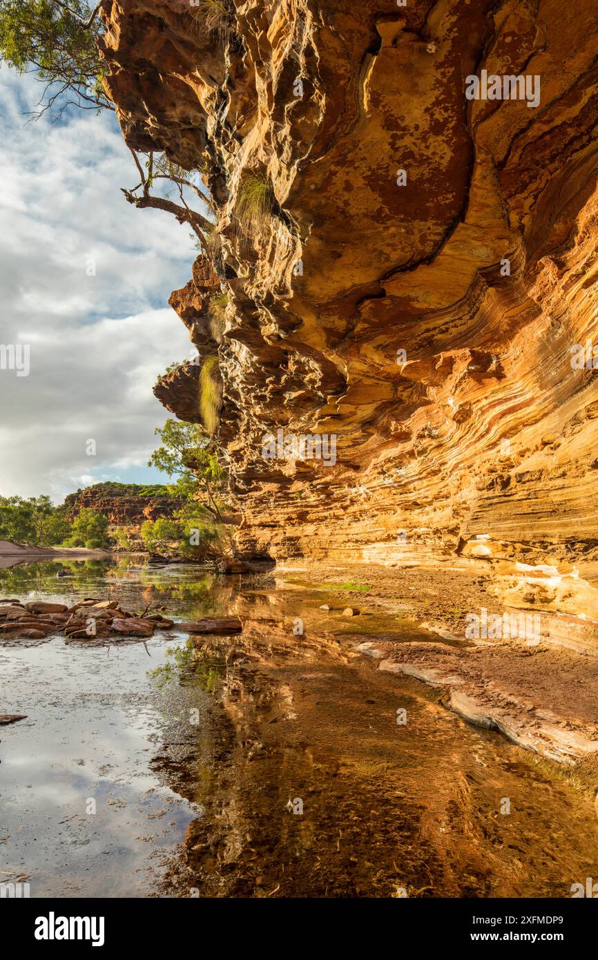 Falaises de Murchison River Gorge, le Parc National de Kalbarri, Région du Pilbara, Australie occidentale. Banque D'Images