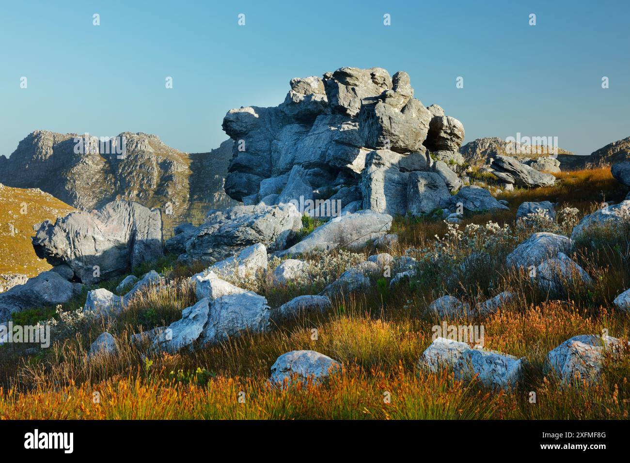 Les rochers et la végétation dans les montagnes Hottentots Holland, Western Cape, Afrique du Sud, décembre 2014. Banque D'Images