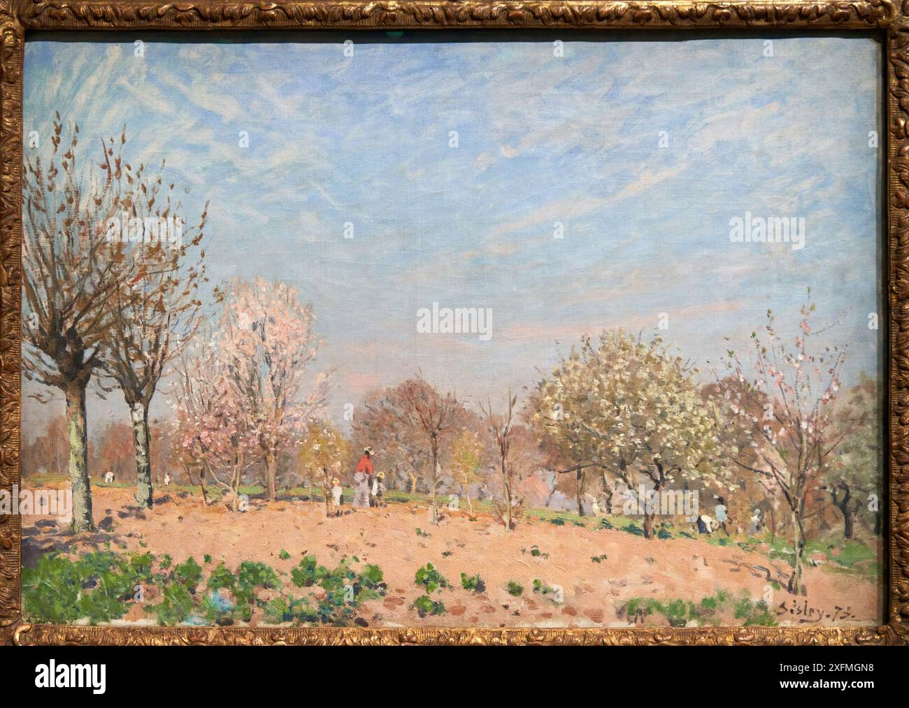 Alfred Sisley (1839-1899), Pommiers en fleur - Louveciennes, 1872, exposition au musée, Paris 1874 inventer l'impressionnisme, Musée d'Orsay, Paris, France. Banque D'Images