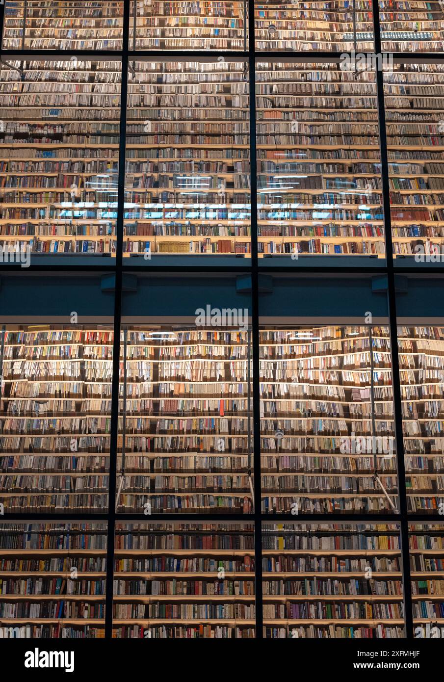 Piles de livres sur les étagères de la Bibliothèque nationale lettone à Riga, formant une mosaïque abstraite. Le bâtiment moderne est conçu par Gunnar Birkerts. Banque D'Images