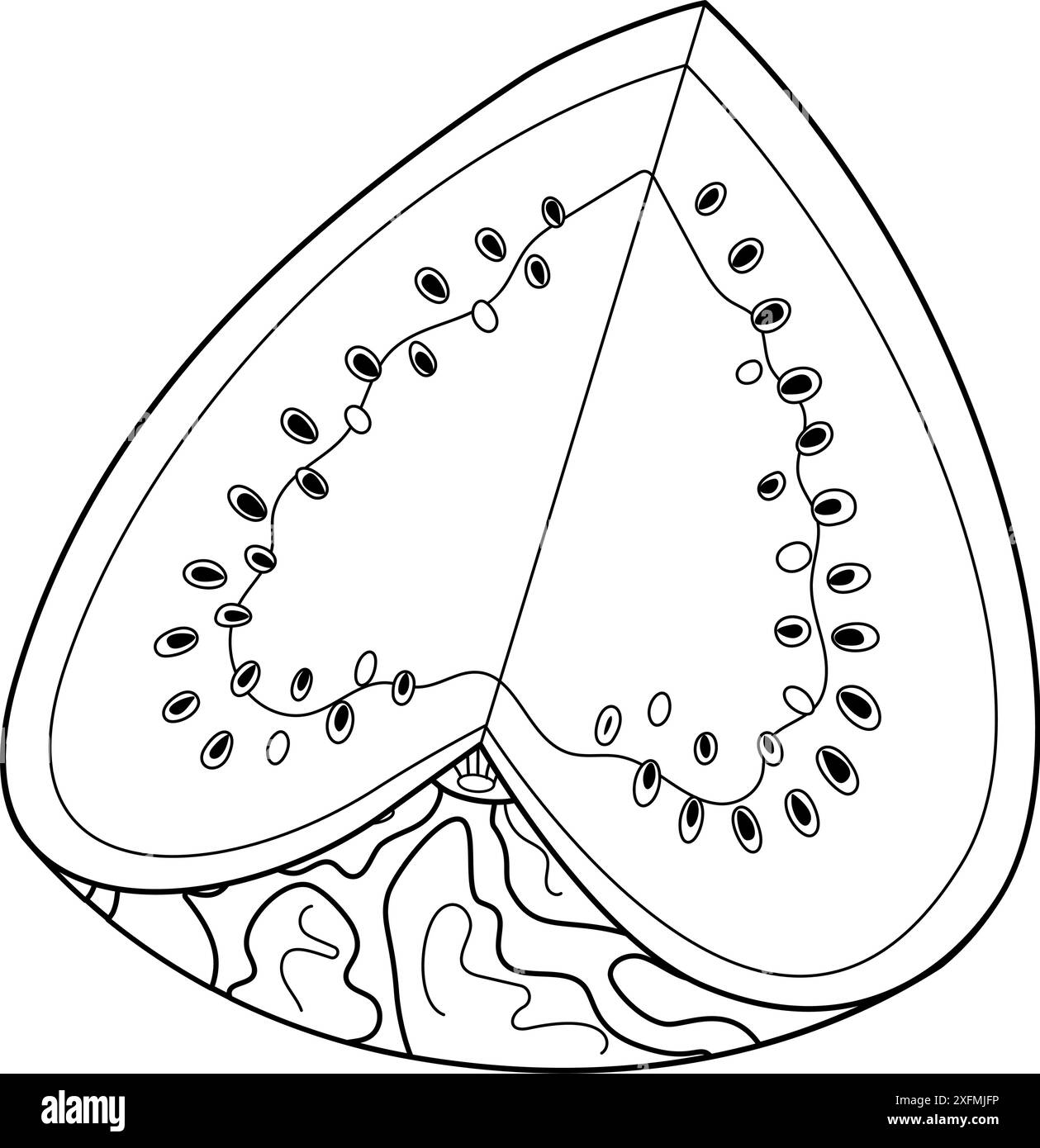 Ligne de pastèque mûre coupée Tranche de coeur de pastèque fraîche. Coloriage de style doodle dessiné à la main fruit coupé isolé dessert naturel biologique, fruits d'été juteux doux et sains. Illustration vectorielle Illustration de Vecteur