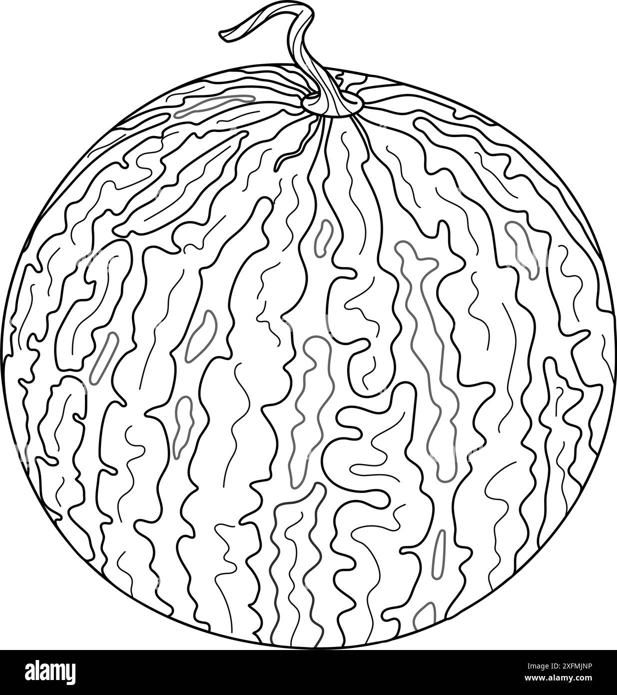 Ligne de pastèque entière fraîche Pastèque mûre de dessin animé. Style doodle à la mode dessiné à la main fruit à colorier isolé dessert naturel biologique, fruits d'été juteux rouge doux et sain. Illustration vectorielle Illustration de Vecteur