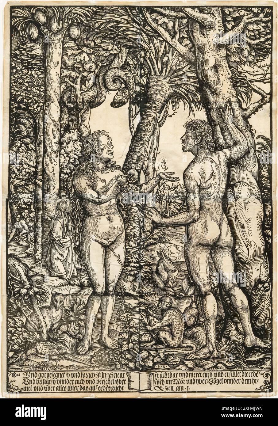 Adam et Eve. Musée : COLLECTION PRIVÉE. Auteur : Hans The Elder Burgkmair. Banque D'Images