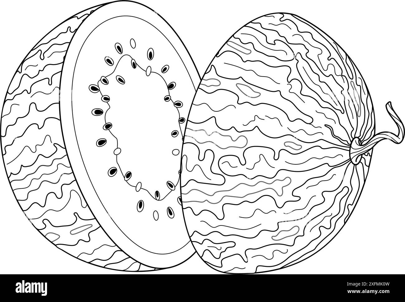 Deux moitiés de pastèque. Ligne de pastèque mûre coupée Dessiné à la main style doodle à la mode isolé demi-fruit dessert naturel biologique, fruits d'été tranchés sucrés sains. Coloriage illustration vectorielle Illustration de Vecteur