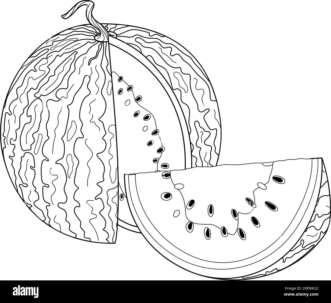 Pastèque mûre coupée et tranche coupée à partir de la ligne de pastèque Dessiné à la main style doodle à la mode isolé page de coloration fruit coupé dessert naturel biologique, fruits d'été doux et sains. Illustration vectorielle Illustration de Vecteur