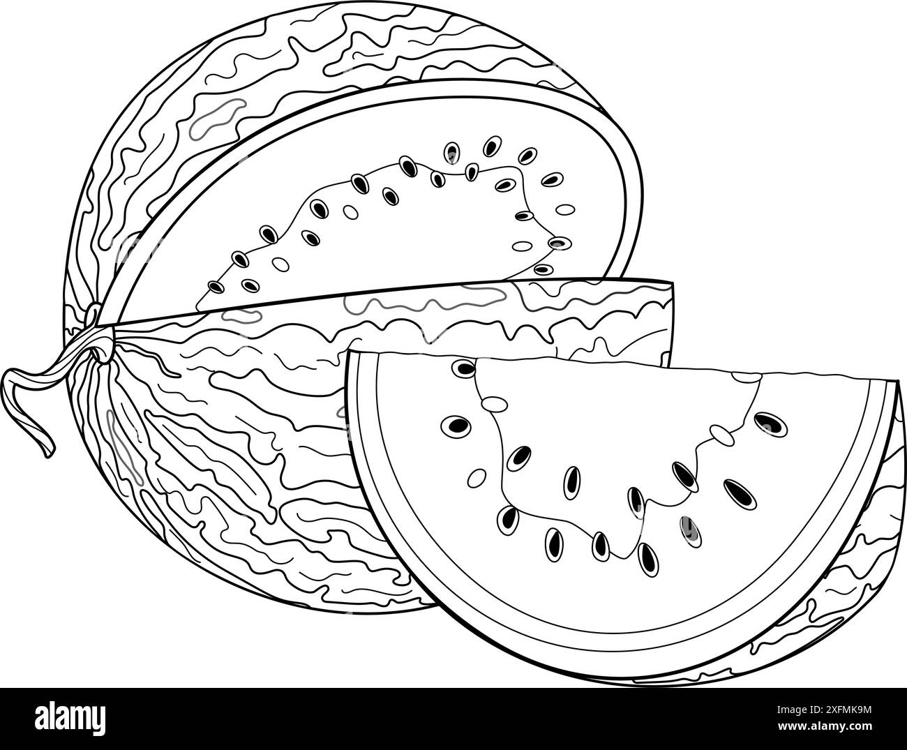 Pastèque mûre coupée et tranche coupée à partir de la ligne de pastèque Dessiné à la main style doodle à la mode isolé page de coloration fruit coupé dessert naturel biologique, fruits d'été doux et sains. Illustration vectorielle Illustration de Vecteur