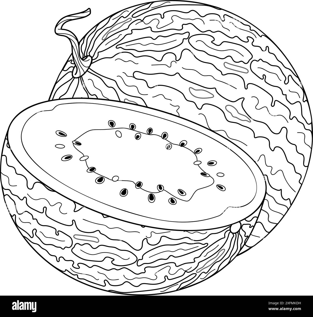 Mûr entière et demi ligne de pastèque Tranche de pastèque fraîche. Page de coloration de style doodle dessinée à la main, fruit coupé dessert naturel bio doux fruits d'été juteux. Illustration vectorielle Illustration de Vecteur