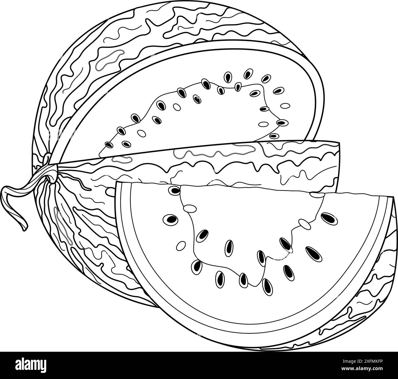 Pastèque mûre coupée et tranche coupée à partir de la ligne de pastèque Dessiné à la main style doodle à la mode isolé page de coloration fruit coupé dessert naturel biologique, fruits d'été doux et sains. Illustration vectorielle Illustration de Vecteur