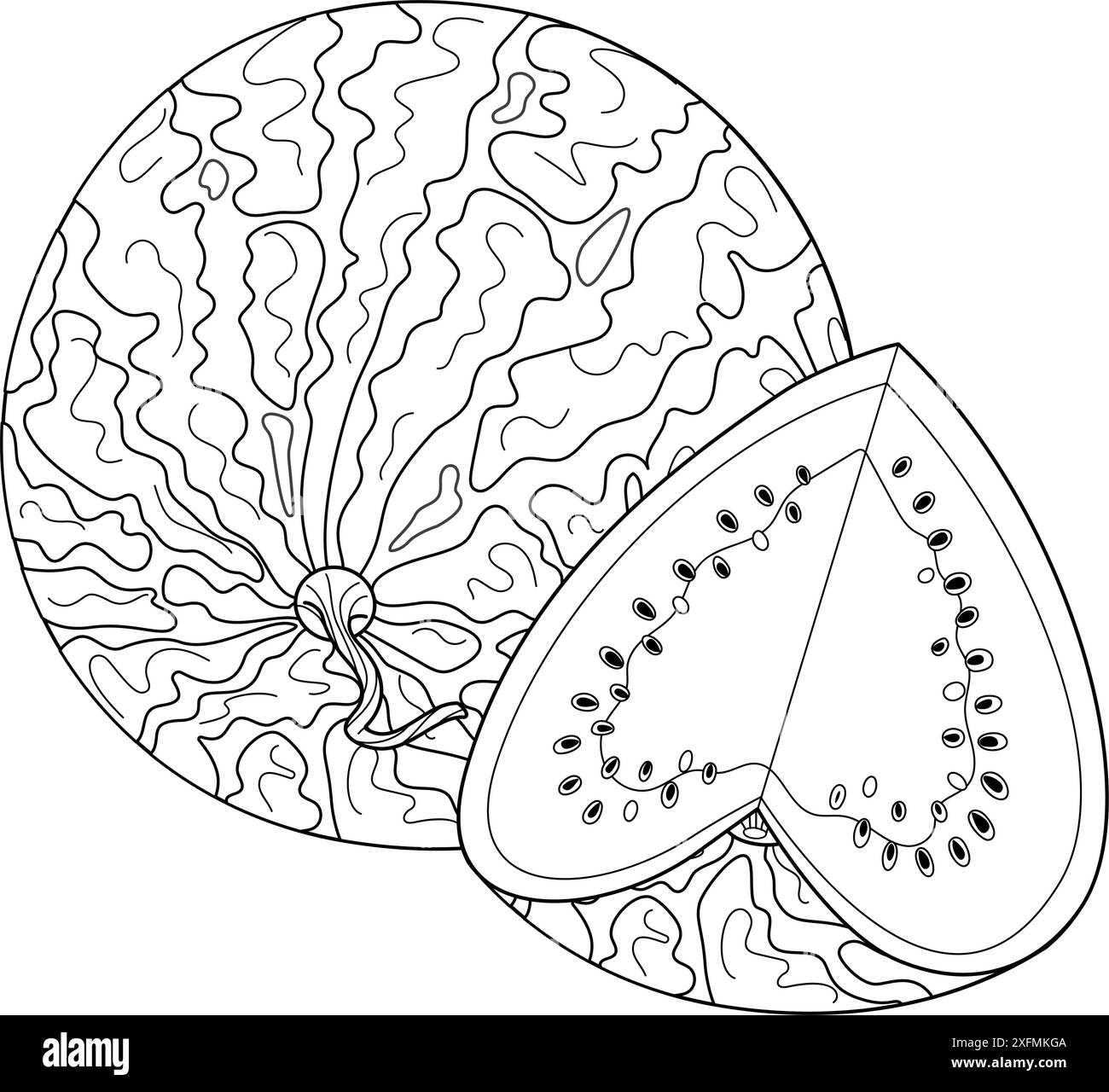Mûrir entière et coupée pastèque. Tranche de coeur de pastèque fraîche dessinée à la main style doodle à la mode isolé fruit coupé organique dessert naturel sain page de coloration de fruits d'été sucrés sains. Illustration vectorielle Illustration de Vecteur