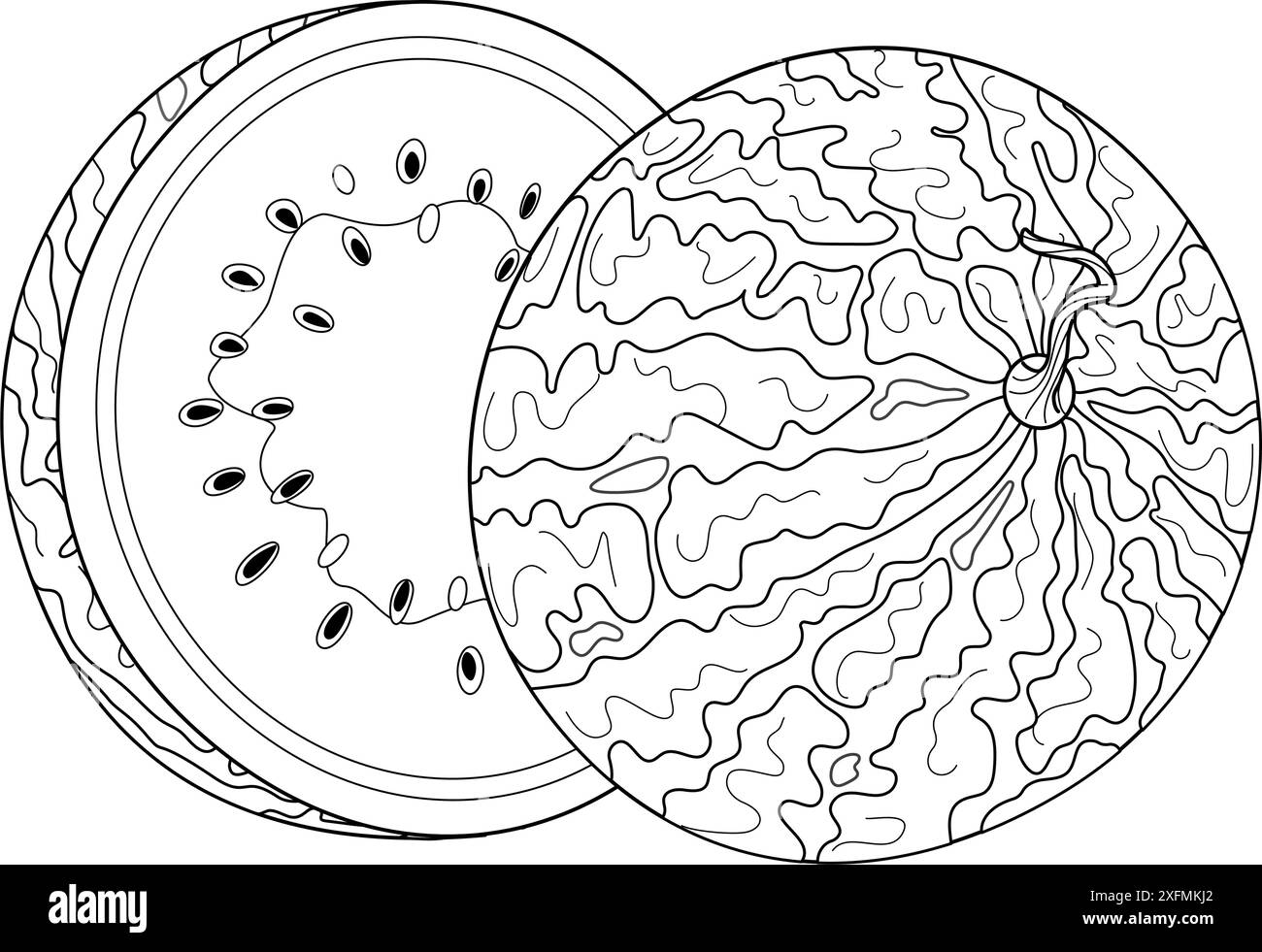 Deux moitiés de pastèque. Ligne de pastèque mûre coupée Dessiné à la main style doodle à la mode isolé demi-fruit dessert naturel biologique, fruits d'été tranchés sucrés sains. Coloriage illustration vectorielle Illustration de Vecteur
