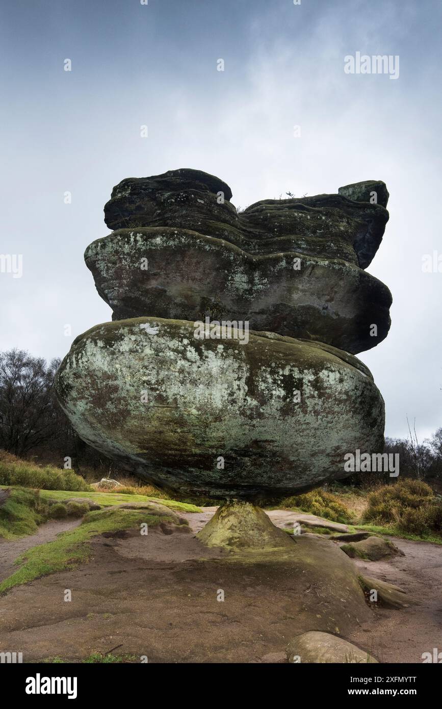 Piédestal rocheux créé par érosion variable des couches molles et dures de gravier de meule de l'âge carbonifère, Brimham Rocks, Harrogate, Yorkshire, Angleterre, Royaume-Uni, octobre 2016. Banque D'Images Piédestal rocheux créé par érosion variable des couches molles et dures de gravier de meule de l'âge carbonifère, Brimham Rocks, Harrogate, Yorkshire, Angleterre, Royaume-Uni, octobre 2016. Banque D'Images