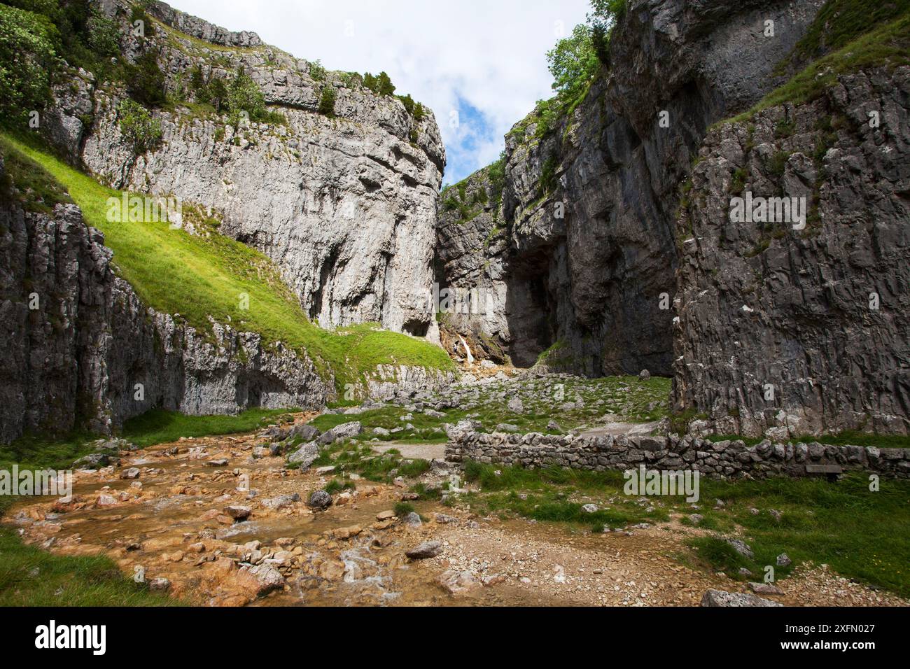 Ravin de calcaire Gordale Scar près du parc national Malham Yorkshire Dales, Yorkshire, Angleterre, Royaume-Uni, juillet. Banque D'Images Ravin de calcaire Gordale Scar près du parc national Malham Yorkshire Dales, Yorkshire, Angleterre, Royaume-Uni, juillet. Banque D'Images