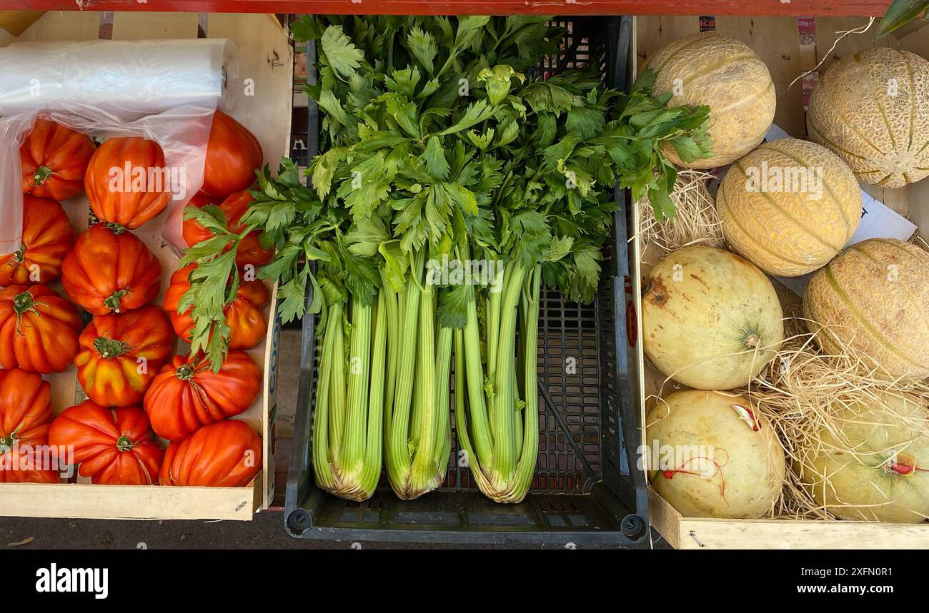 Légumes frais verts et fruits sur le marché. Persil, tomates et melon Banque D'Images