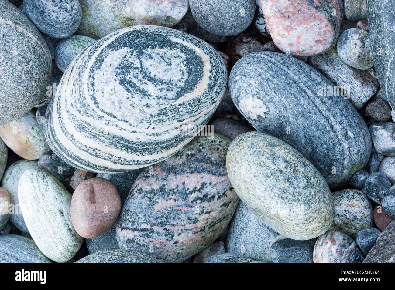Gros plan de galets sur la plage, Écosse, Royaume-Uni, octobre. Banque D'Images