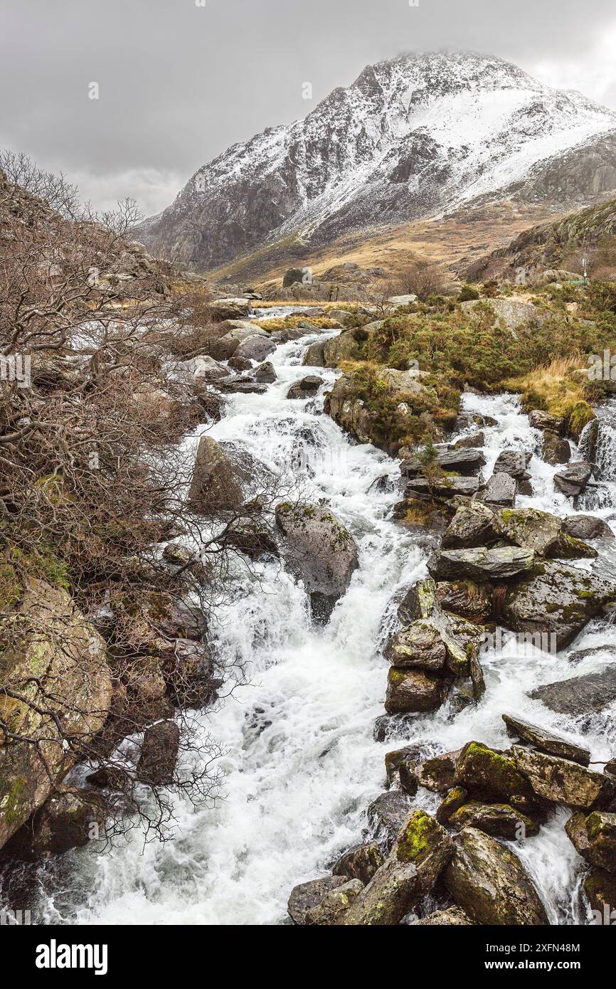 Têtes de l'Afon (rivière) Ogwen à la sortie de Llyn Ogwen avec la montagne Tryfan dans le fond Snowdonia North Wales UK March. Banque D'Images