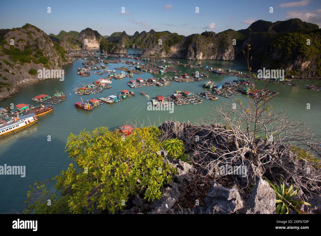 Village de pêcheurs flottant, île de Cat Ba, baie d'Halong, site du patrimoine mondial de l'UNESCO, Vietnam, décembre 2016. Banque D'Images